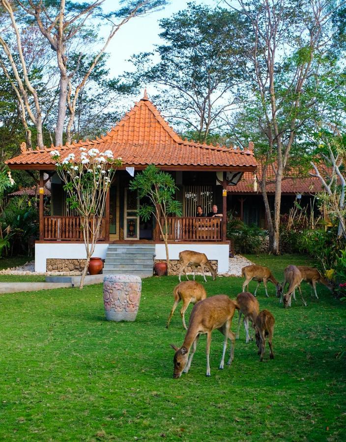 Banyuwedang Plataran Menjangan Resort And Spa - Chse Certified חדר תמונה